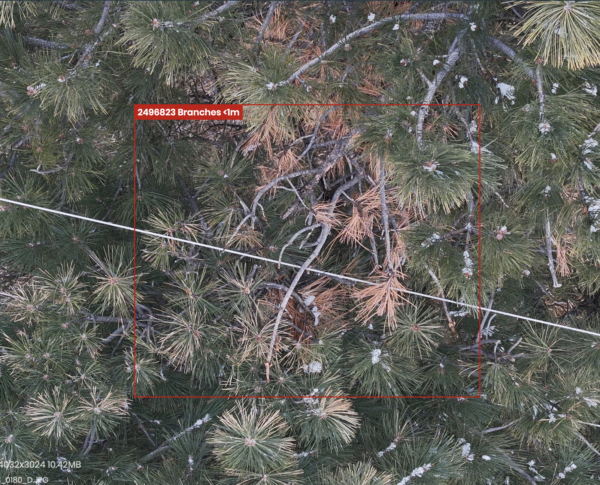 Vegetation management with Hepta Insights software
