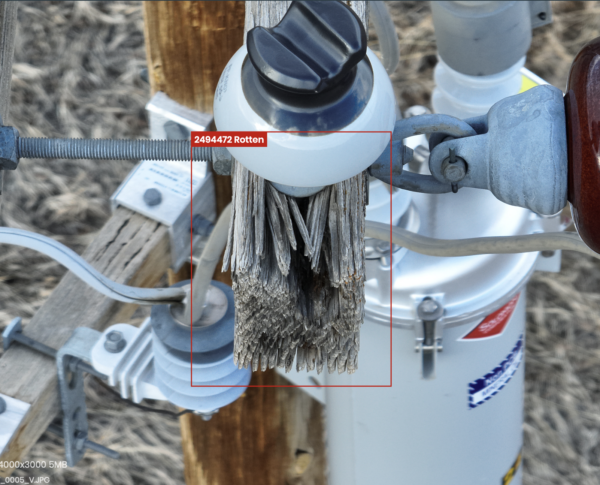 Utility drone inspection